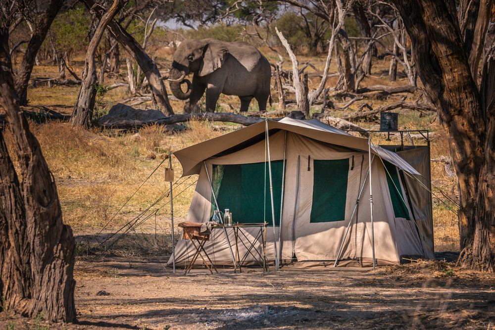 Hébergement en camping au cours d'un safari au Botswana
